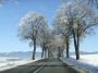 Milan Halper - Road
