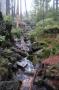 Šumava 2005
