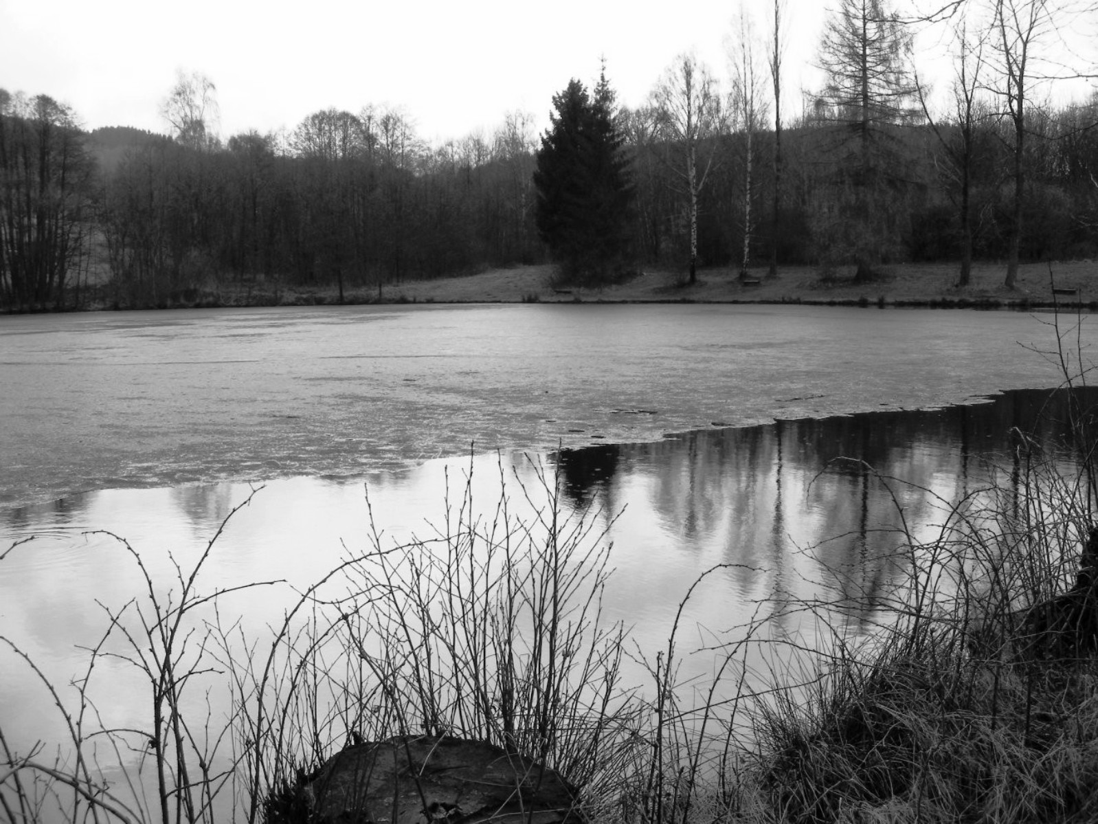 Soumrak nad rybníkem
