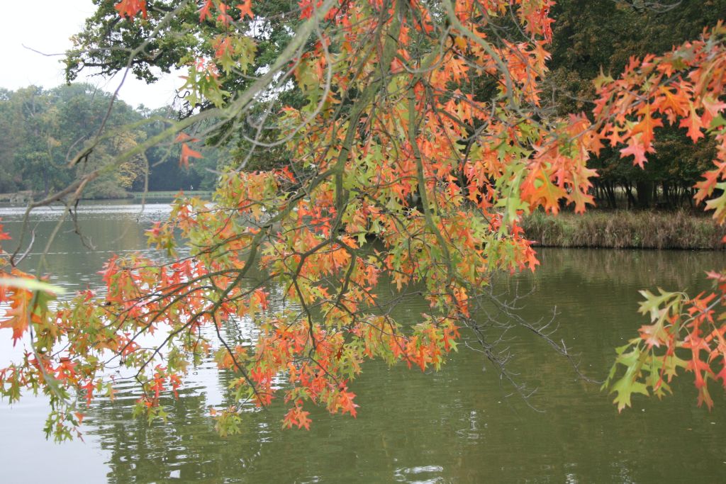 Barvy podzimní přírody