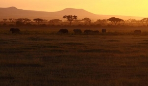 Klára Kucková - V Amboseli