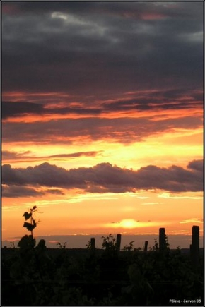 Večer a noc ve fotografii - Západ slunce nad vinicemi Pálavy