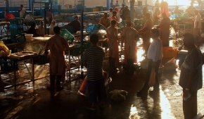 Letem exotickým světem - Rybí trh v Jeddah