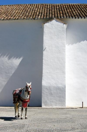 Fotograf roku na cestách 2011 - Španělsko - Andalusie