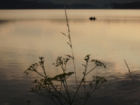 Fotograf roku v přírodě 2011 - Podvečerná rybačka
