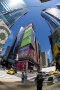 Petr Šebek -Times Square