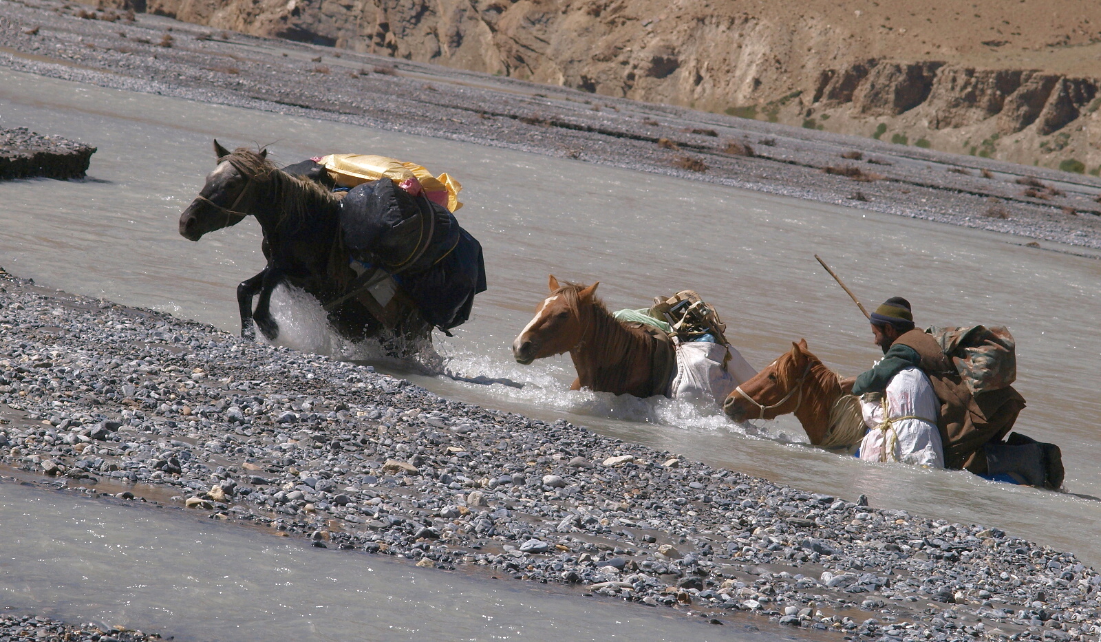 Trek  v  Ladaku