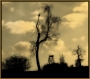 Rudolf Stančík -Strom na obzoru