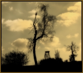 Rudolf Stančík - Strom na obzoru