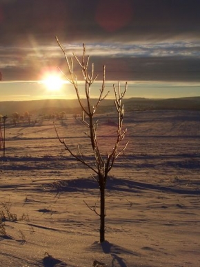Zimní podvečer - Západ slunce na Měděnci (Krušné Hory)