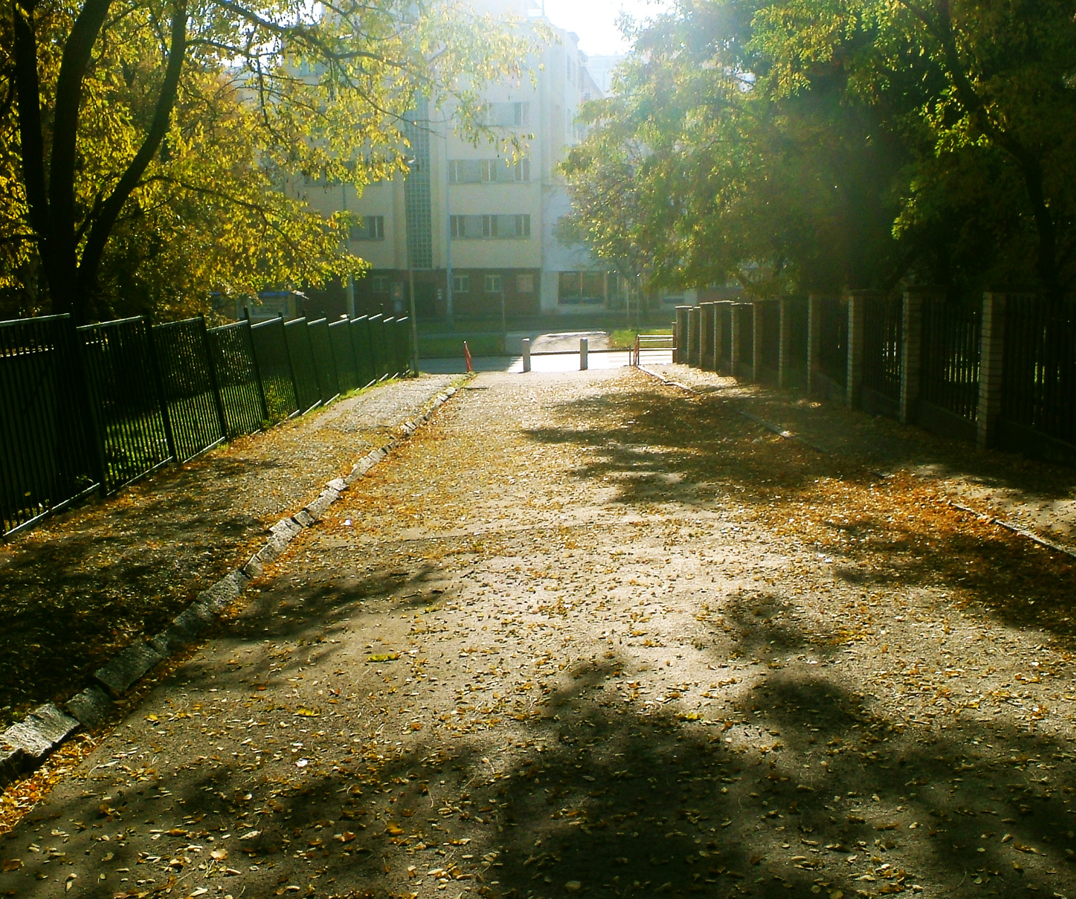Podzimní ulice v Břevnově