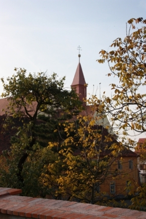 Kateřina Novosádová - Kostel
