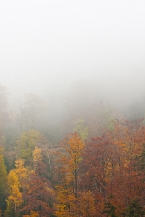 Moje Krajina - Barvy podzimu