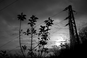 Černobílá fotografie - Konec podzimu