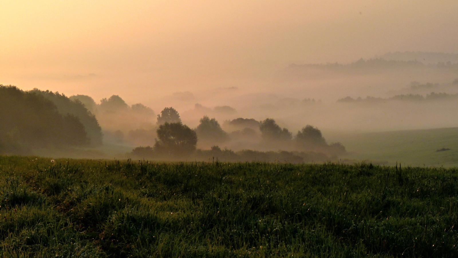 Bruzovice - ranní mlha