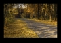 Honza Němec - Podzimní