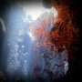 Eva Machová -Moje krajina - svět pod vodou