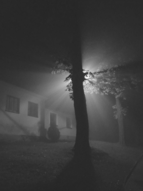 Černobílá fotografie - Mlha ve Staré Říši