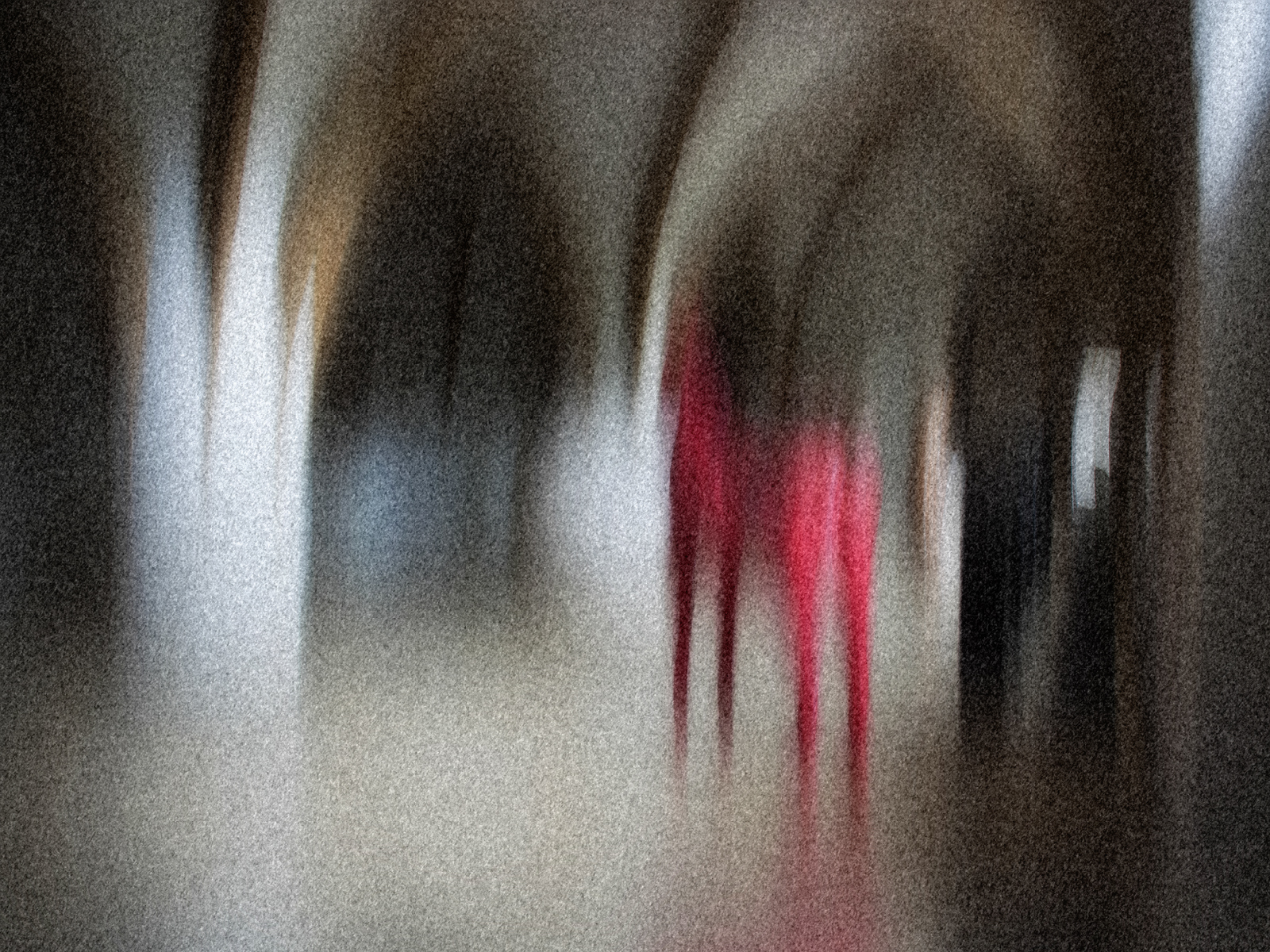 červená kobyla v gotickém sále