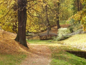 Má nejkrásnější krajina - Podzimní park Javorka