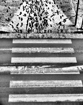 Černobílá fotografie - Fotograf roku - Kreativita - IV. kolo - Cesty