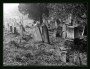 Tomislav Pivečka -židovský hřbitov - podzim