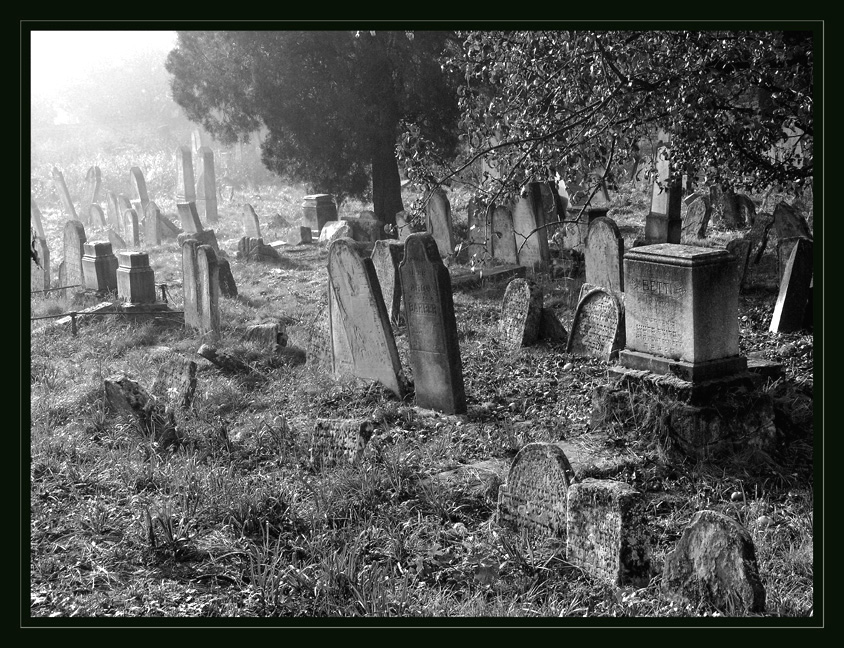 židovský hřbitov - podzim