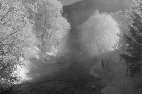 Černobílá fotografie - Horský potok