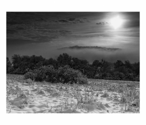Černobílá fotografie - Mrazivé ráno