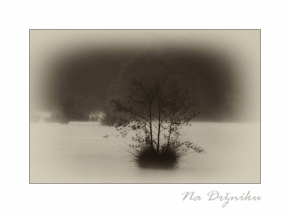 Černobílá fotografie - Na Držníku