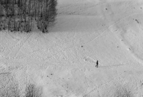 Černobílá fotografie - Ztracen v polích