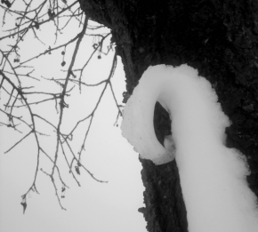 Černobílá fotografie - Tající sníh