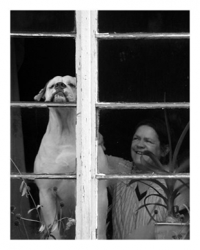 Člověk a jeho zvířátka - Fotograf roku - Dva za oknem
