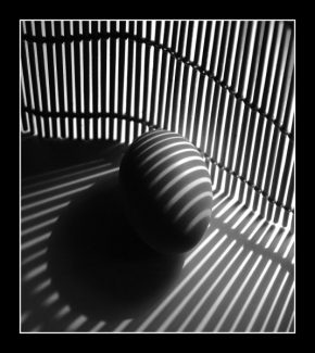 Černobílá fotografie - Hra s vejcem