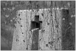 Černobílá fotografie - památník ležáky 5