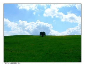 Stromy v krajině - Krása i smutek samoty