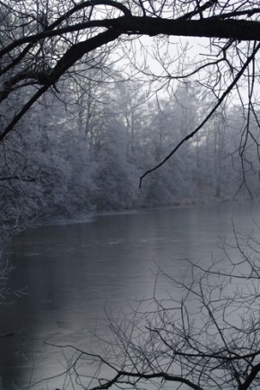 Zimní podvečer - Pohled na rybník