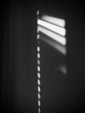 Černobílá fotografie - Ráno