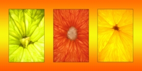 Makrosvět - Colors of fruits II.