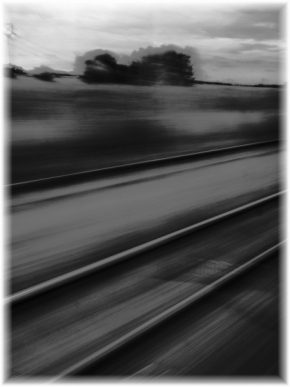 Černobílá fotografie - Cesta domov