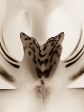 Černobílá fotografie - Orchidea