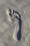 stopa v písku