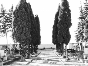 Černobílá fotografie - Hřbitov