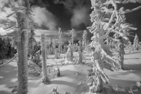 Černobílá fotografie - Zimní tvoření II
