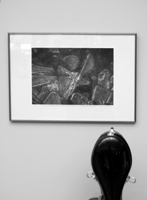 Černobílá fotografie - Basa na výstavě