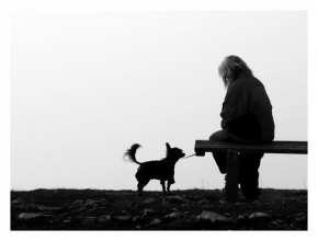 Člověk a jeho zvířátka - Fotograf roku - kreativita - Nejlepší přítel