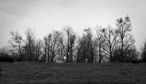 Černobílá fotografie - Bez vrán 2