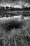 Šárka Svobodová -Podzim u rybníka