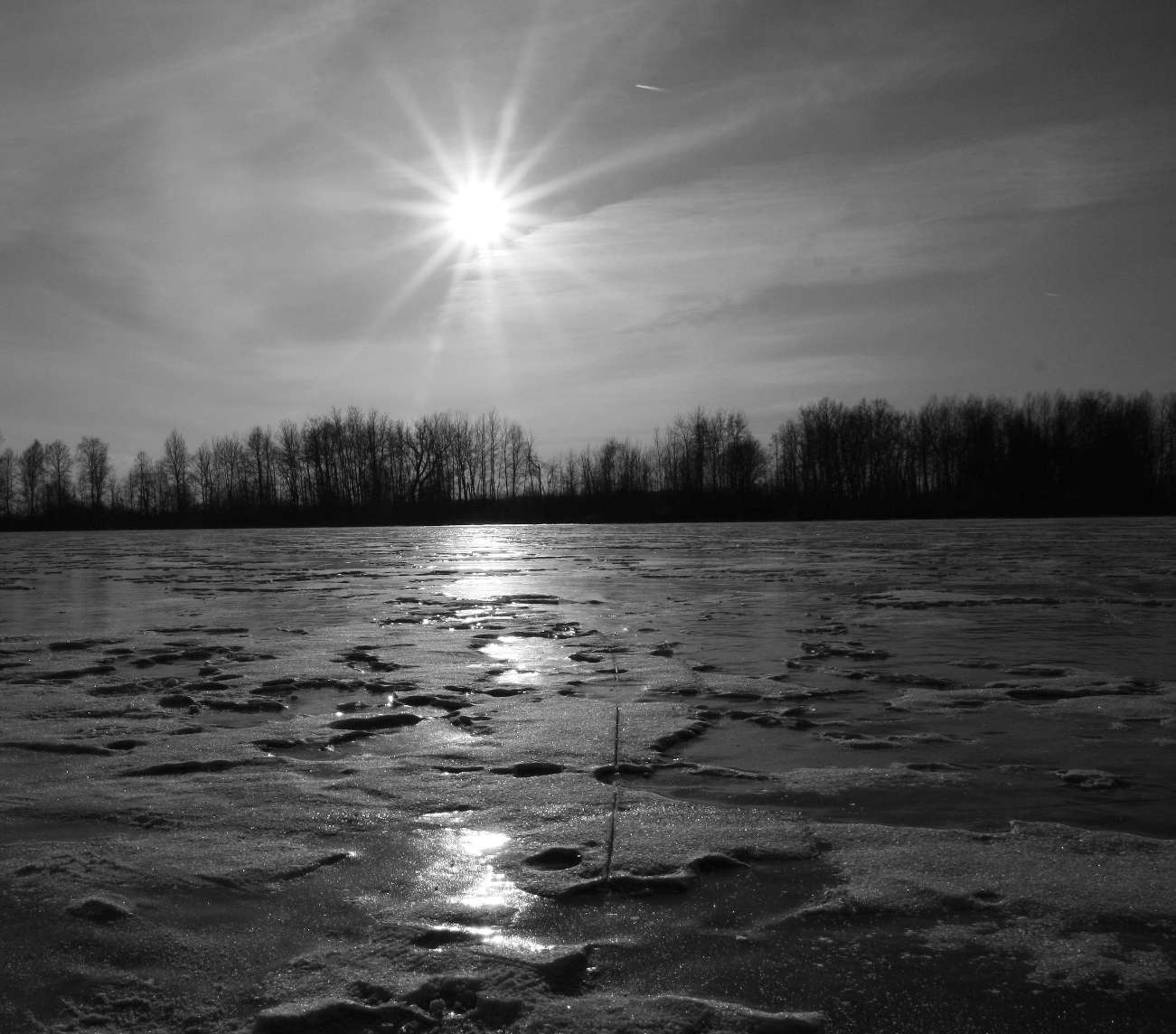Zamrzlá hladina rybníku
