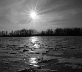 Černobílá fotografie - Zamrzlá hladina rybníku